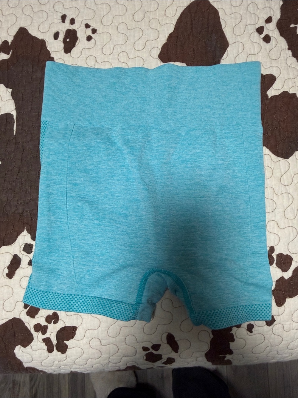 Women's Light Teal Bike Shorts